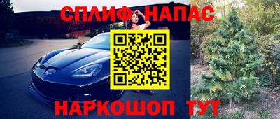гидра Рыбинск
