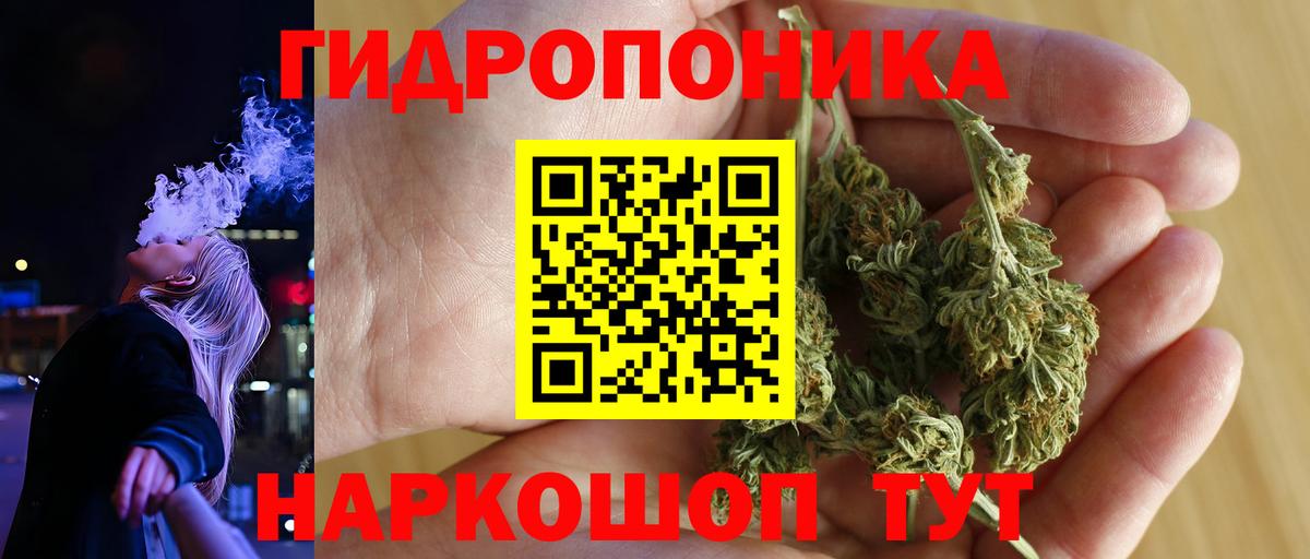 Канабис Ganja Новокубанск